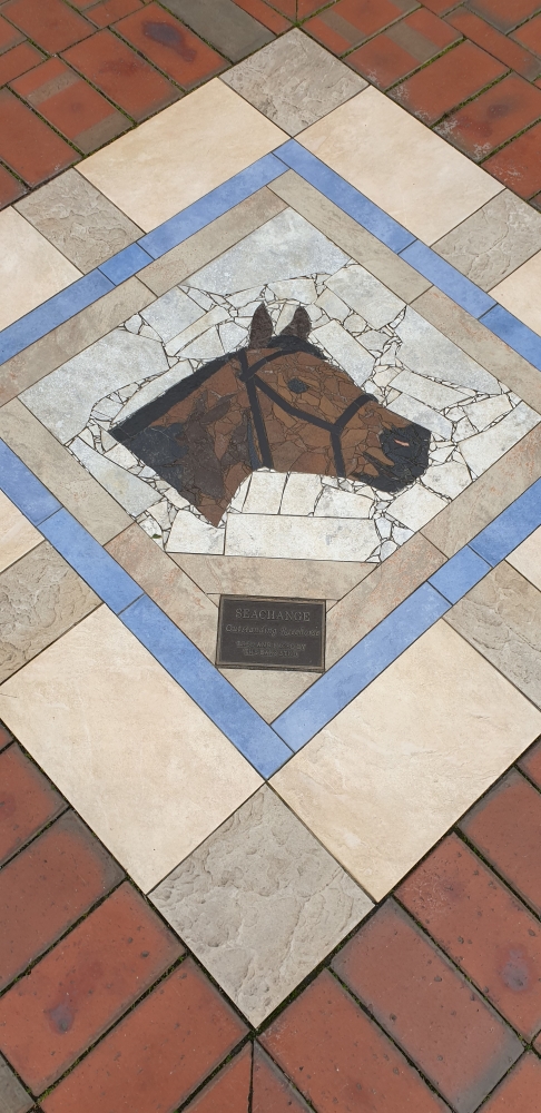 Cambridge Horses