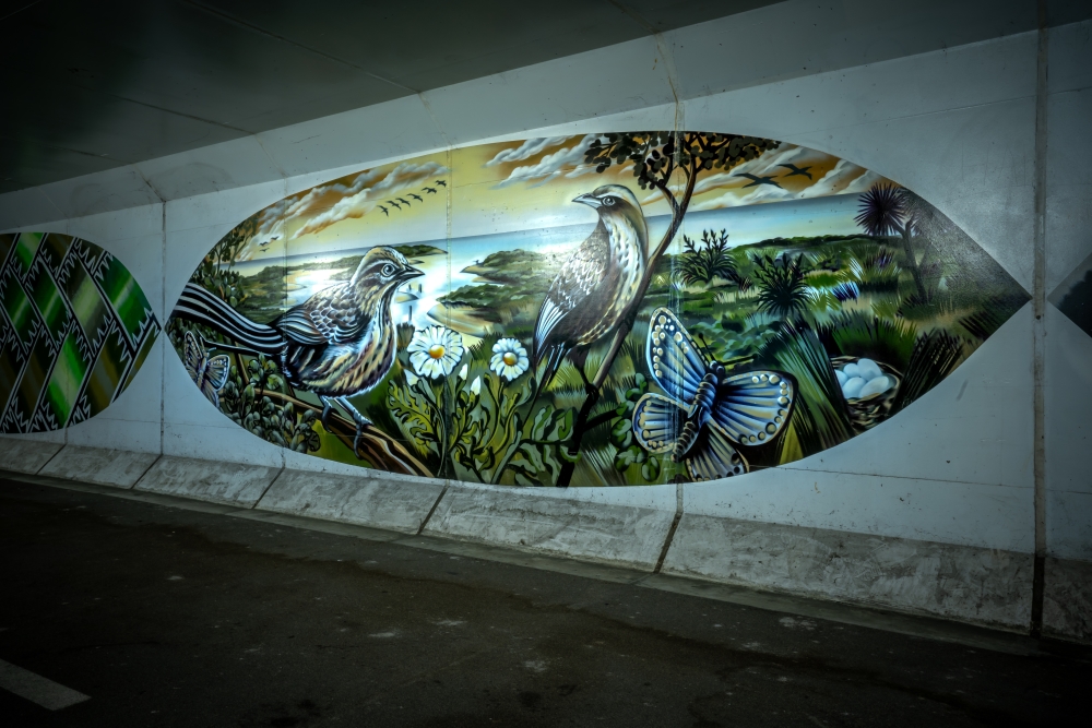 Te Atatu Underpass 2