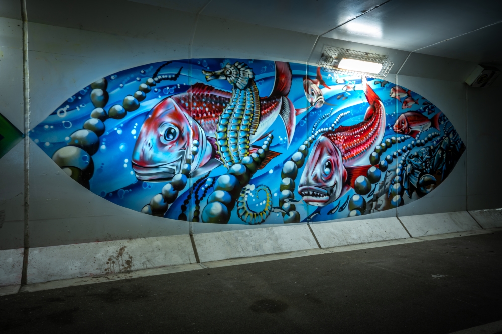 Te Atatu Underpass 2