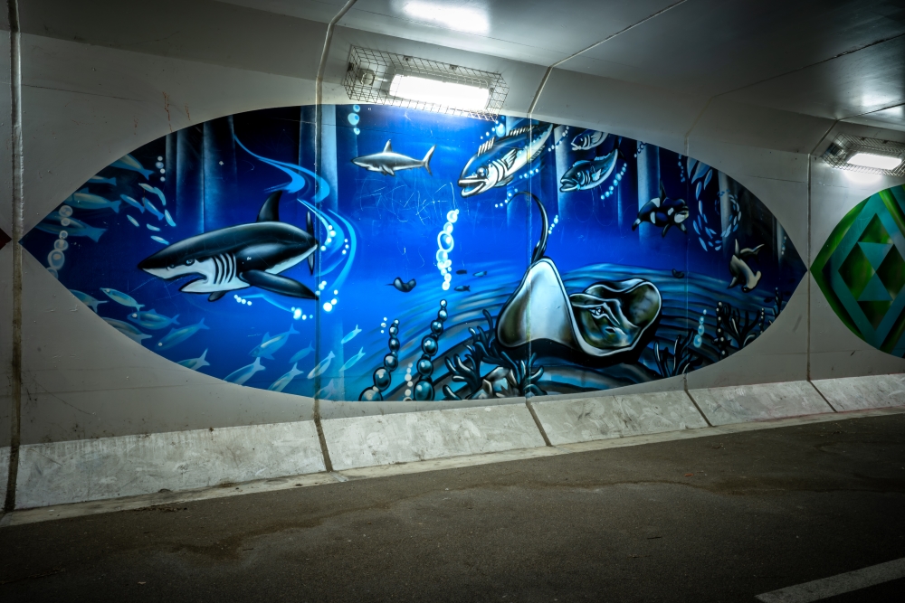 Te Atatu Underpass 2